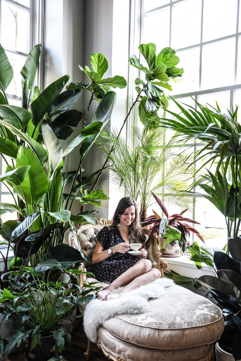 Inside Filmmaker and Producer Hilton Carter’s PlantFilled