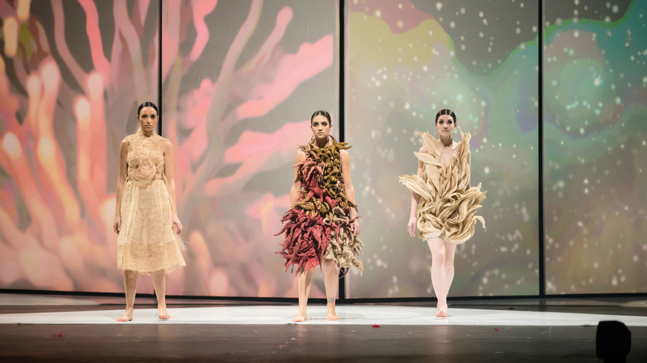 new zealand 2018 world of wearable art show