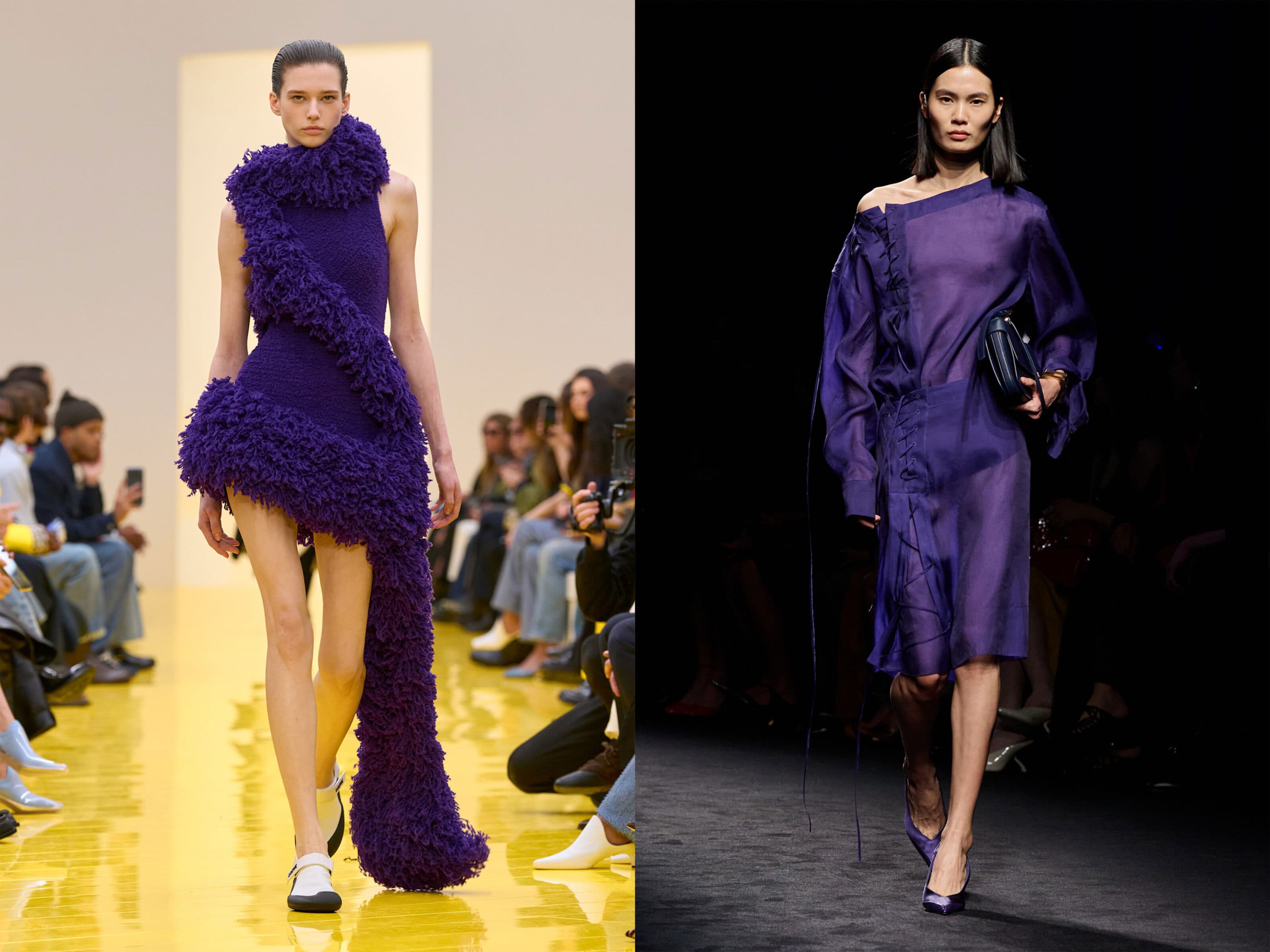 Purple scaled