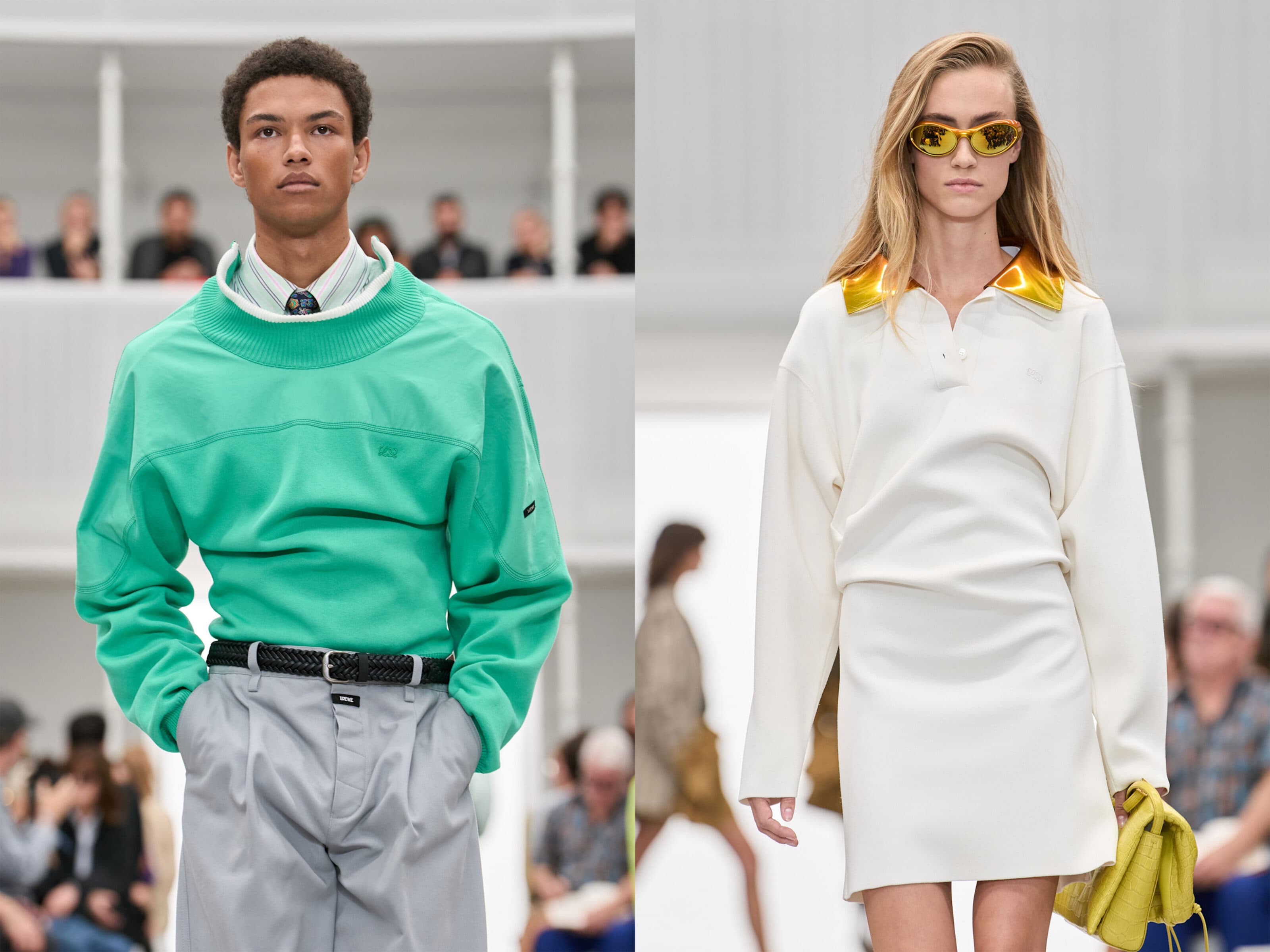 collars scaled
