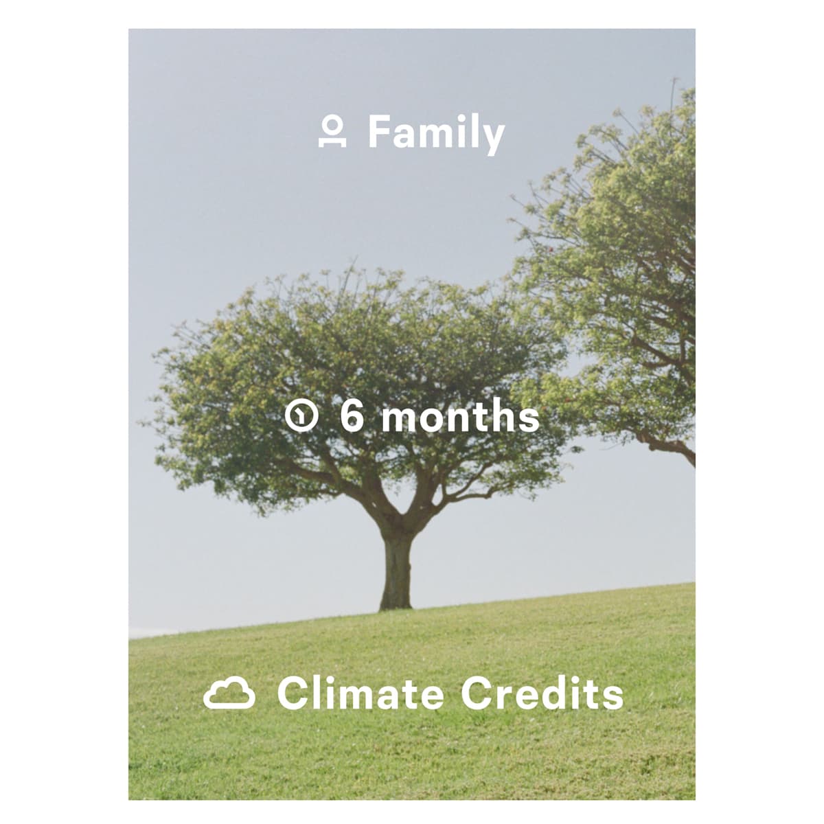 Slide 6 of 22