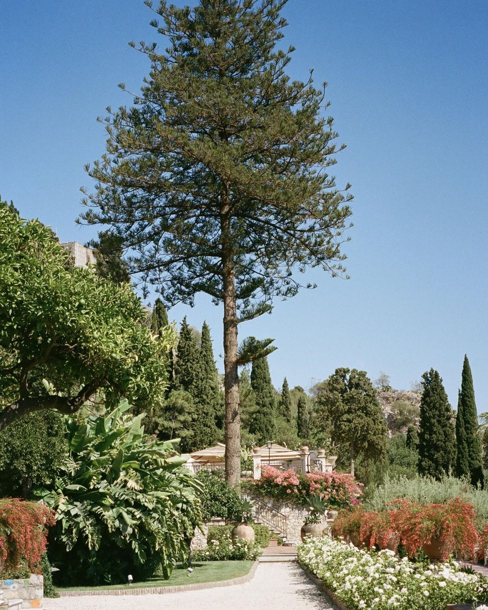 A path in the botanic gardens