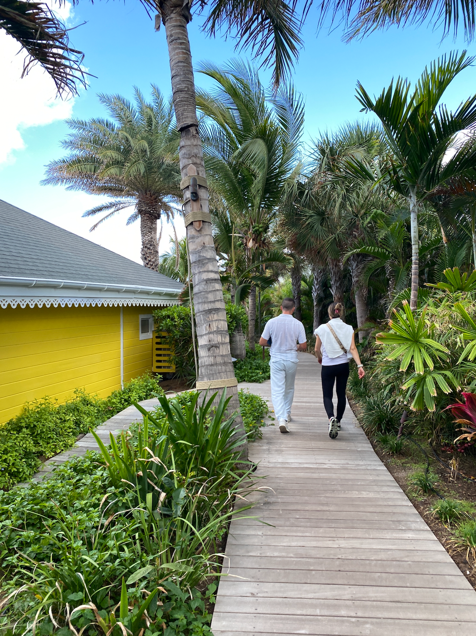 a picture of the wooded pathway that runs throughout the property