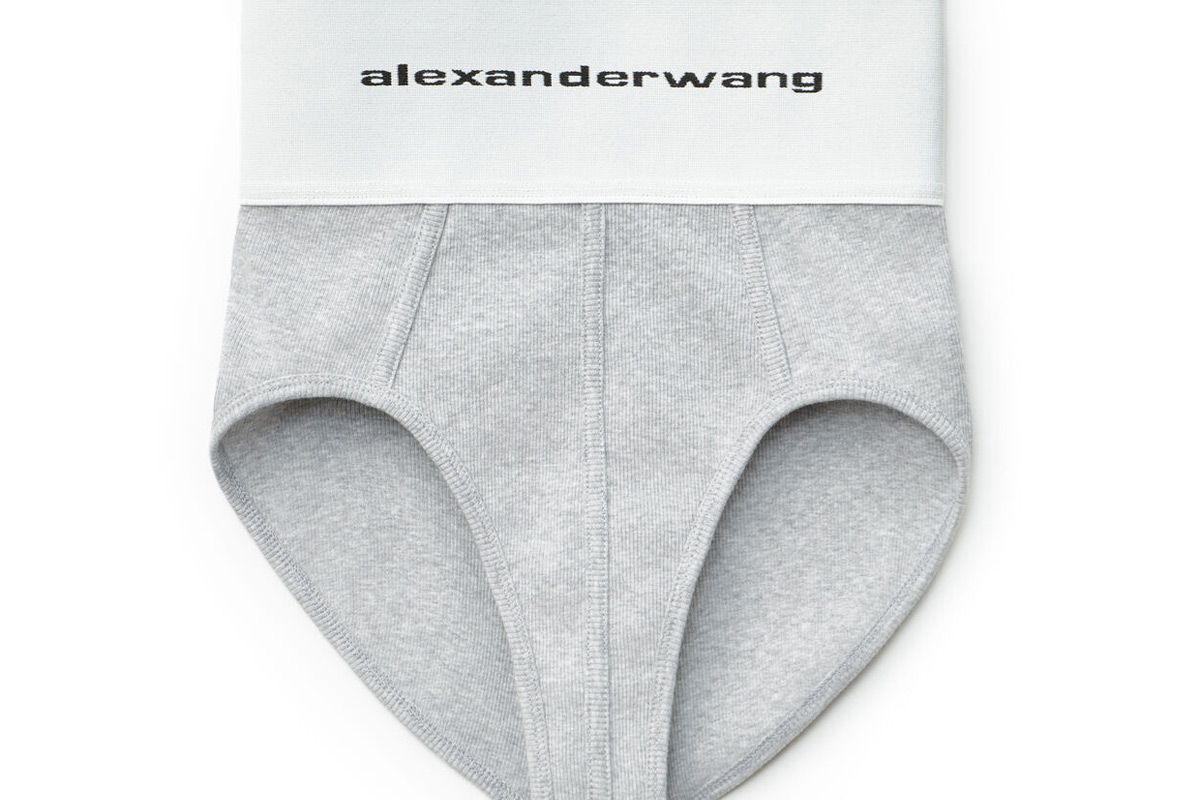 alexander wang logo elastic underwear