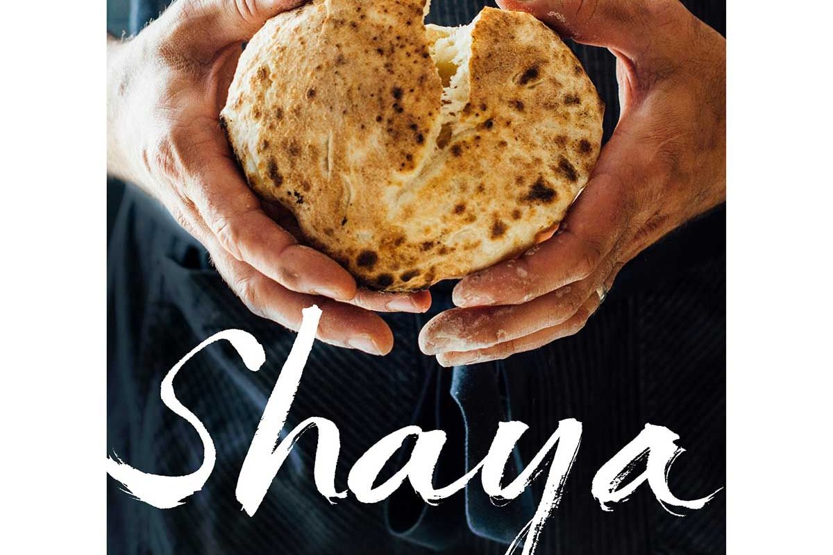 alon shaya shaya an odyssey of food my journey back to israel a cookbook