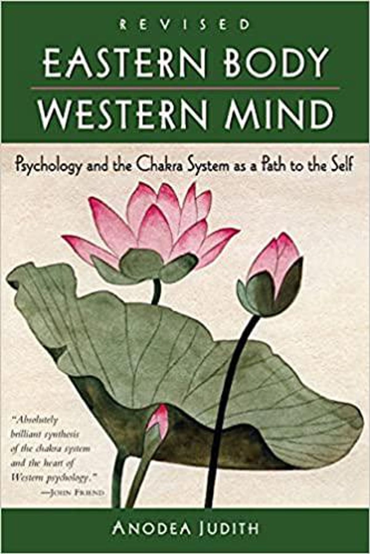anodea judith eastern body western mind psychology and the chakra system as a path to the self