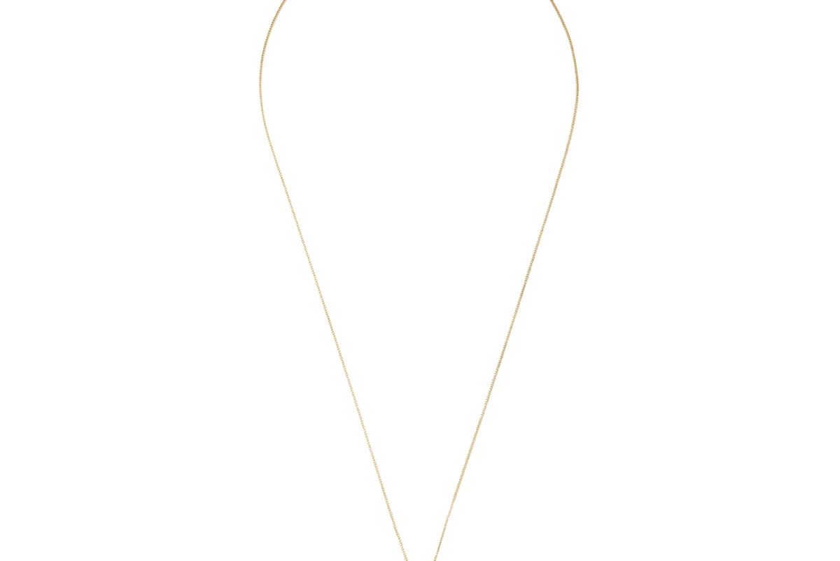 ariel gordon zodiac dog tag necklace