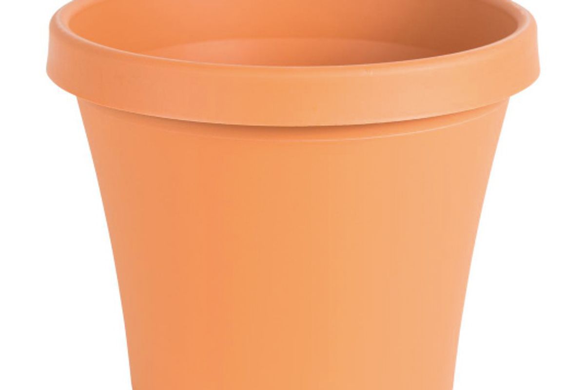 bloem terra 16 inch plastic planter