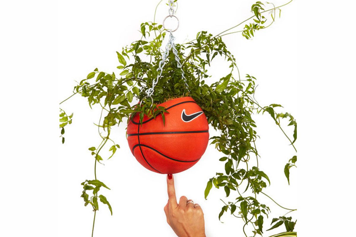 bodega rose nike basketball planter