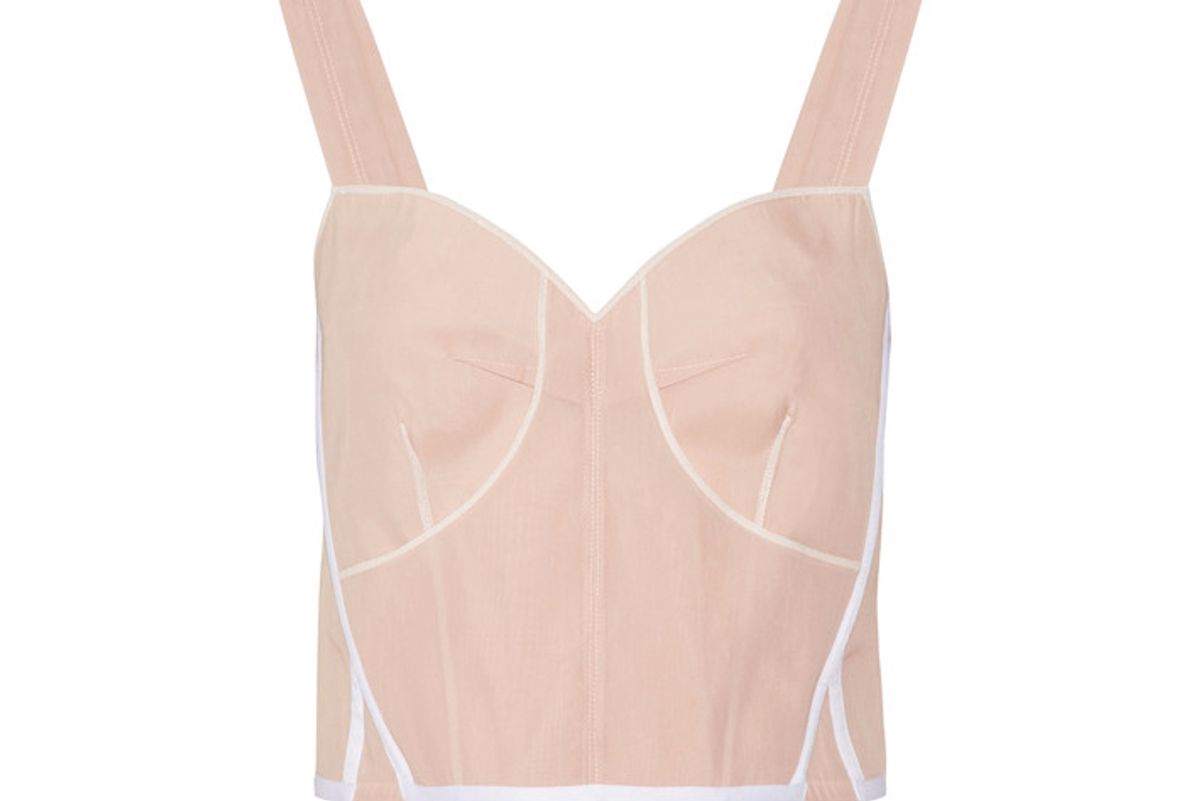 Lemar Cropped Silk-blend Organza Bustier Top