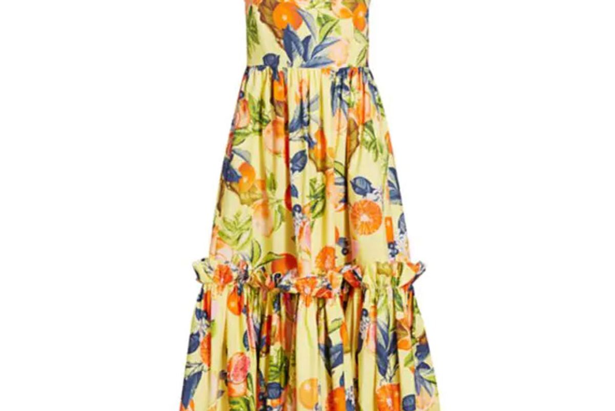 cara cara julia print apron fit and flare dress