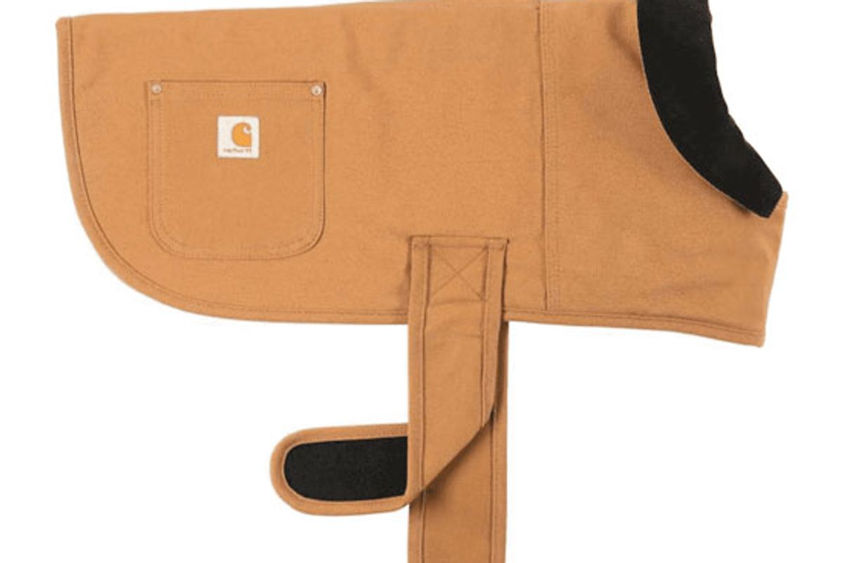 carhartt chore coat