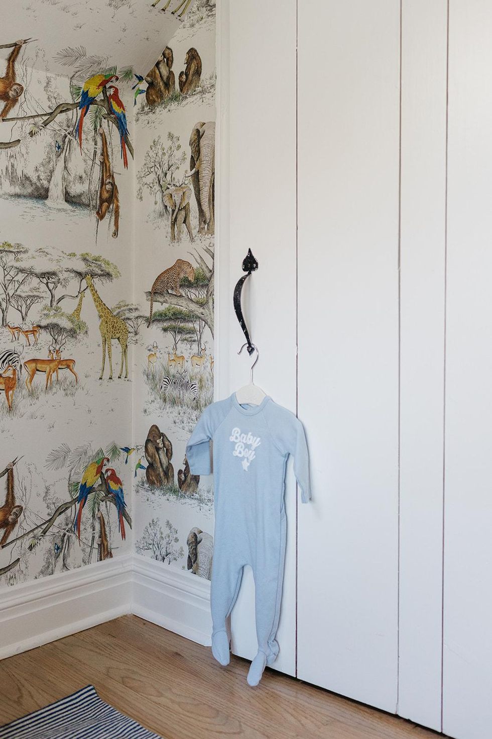 carly cardellino nursery