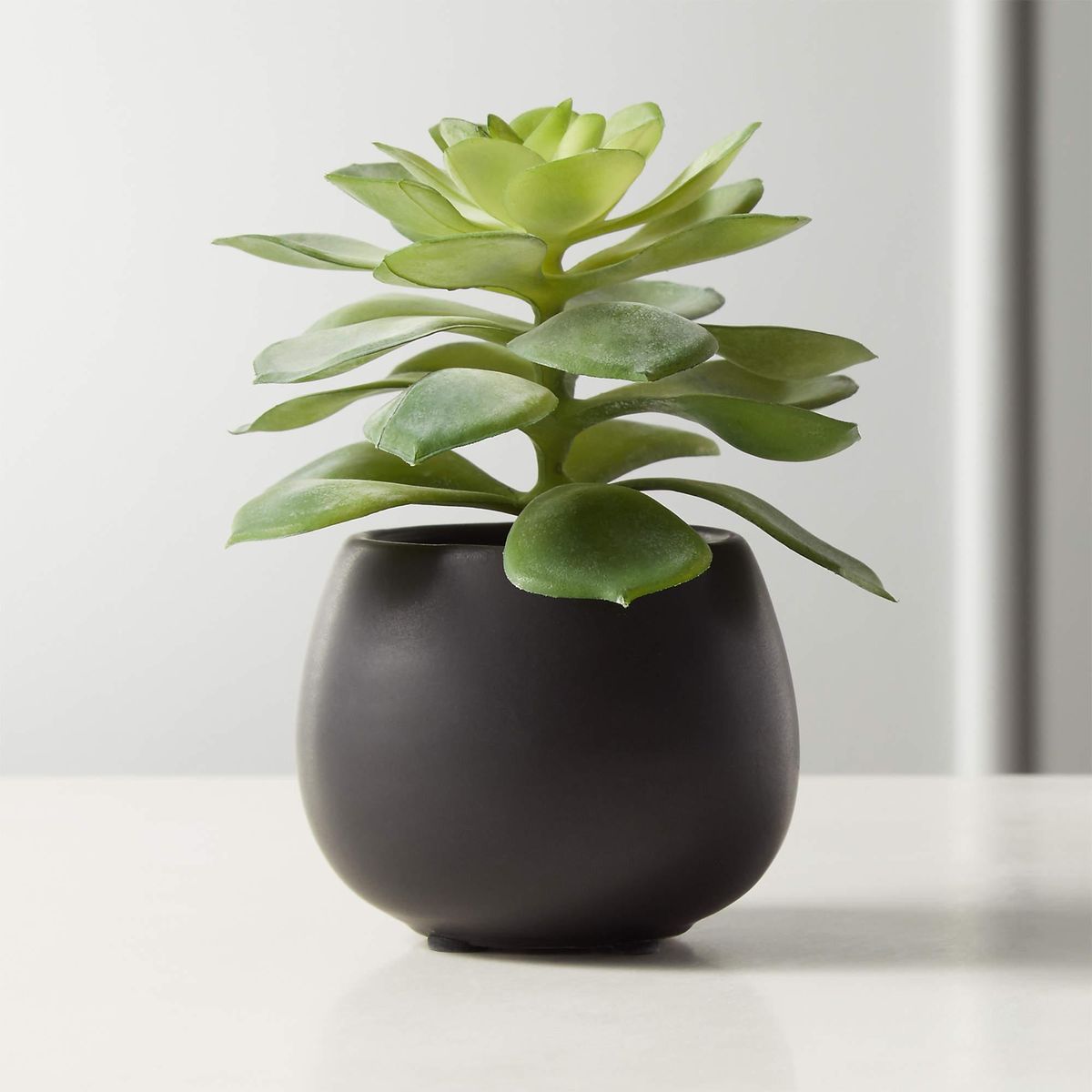 CB2 faux potted succulent