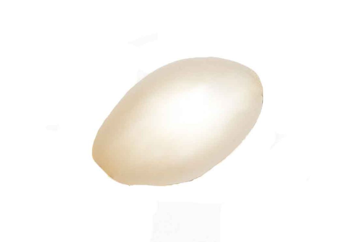 charlotte chesnes large egg hair clip