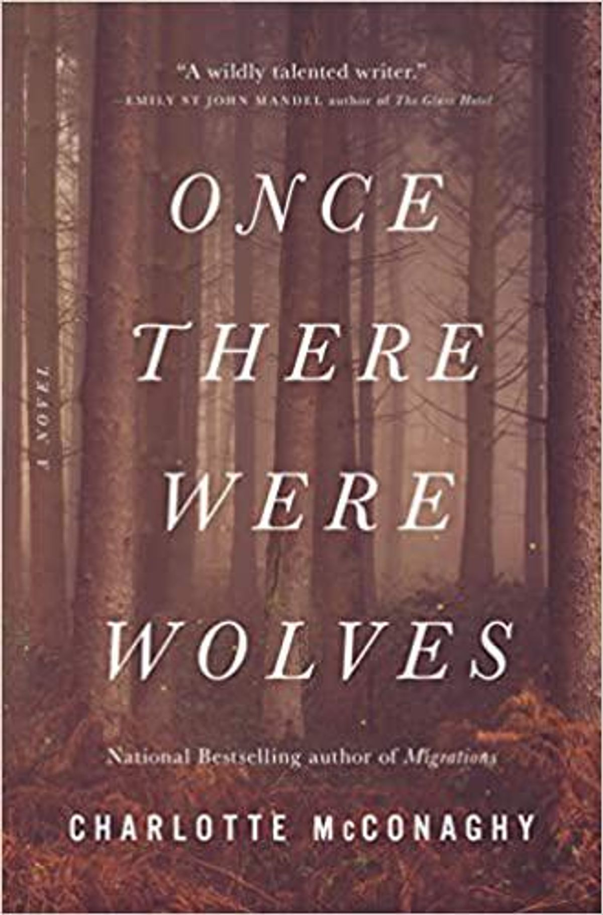 charlotte mcconaghy once there were wolves 