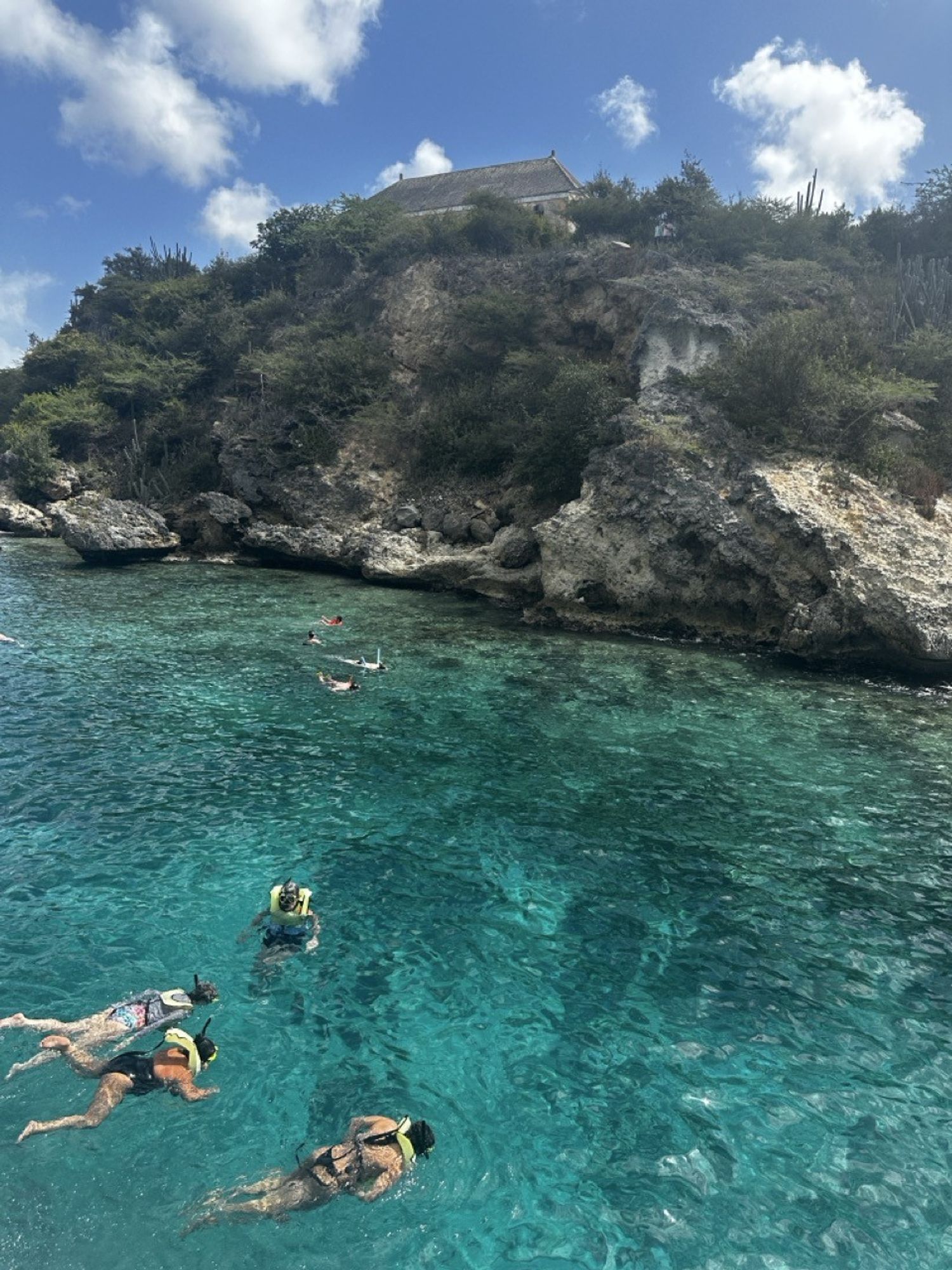 chic cruise activities