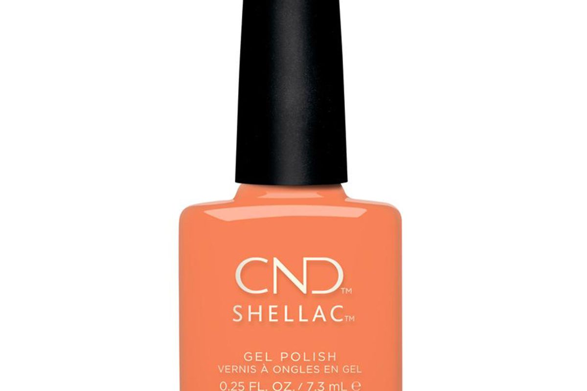 cnd shellac catch of the day
