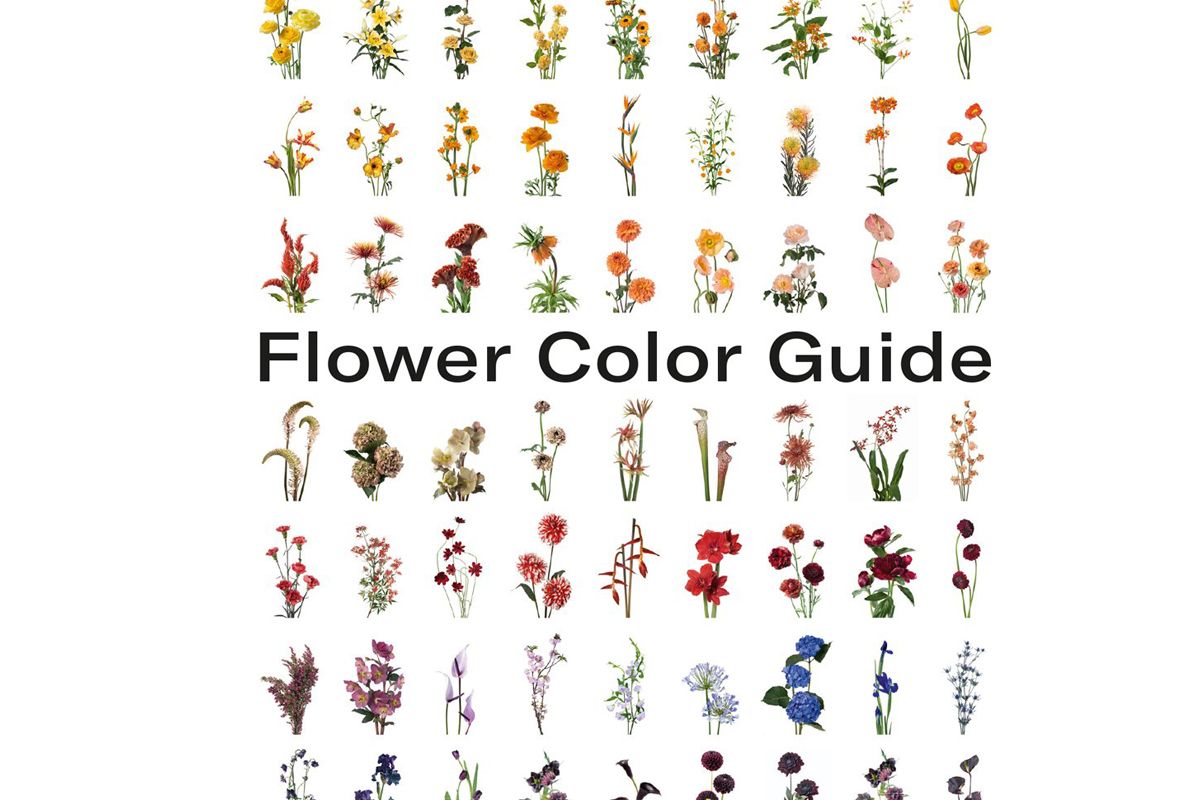 darroch putnam flower color guide