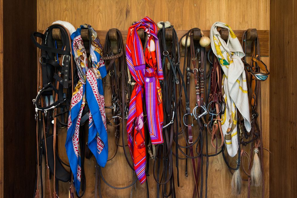 delfina blaquier style tips