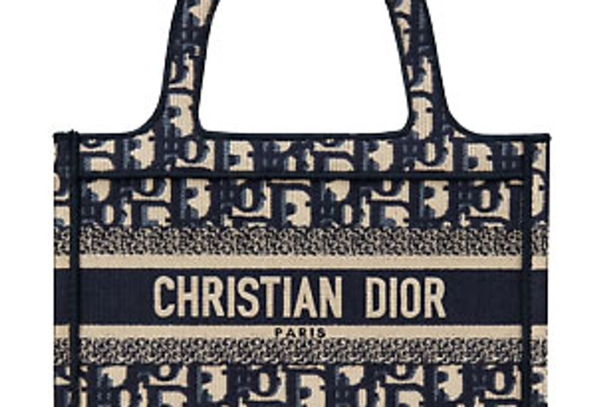 dior mini book tote