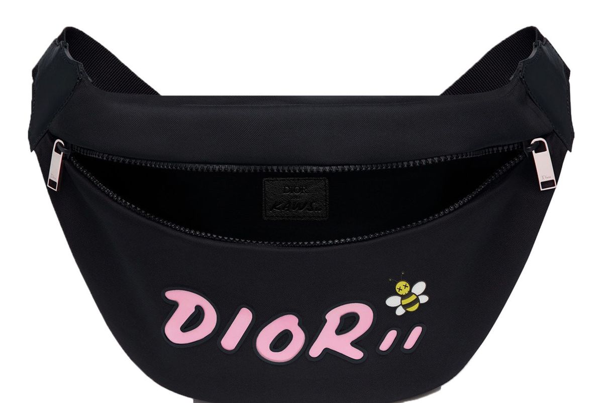 dior x kaws belt bag