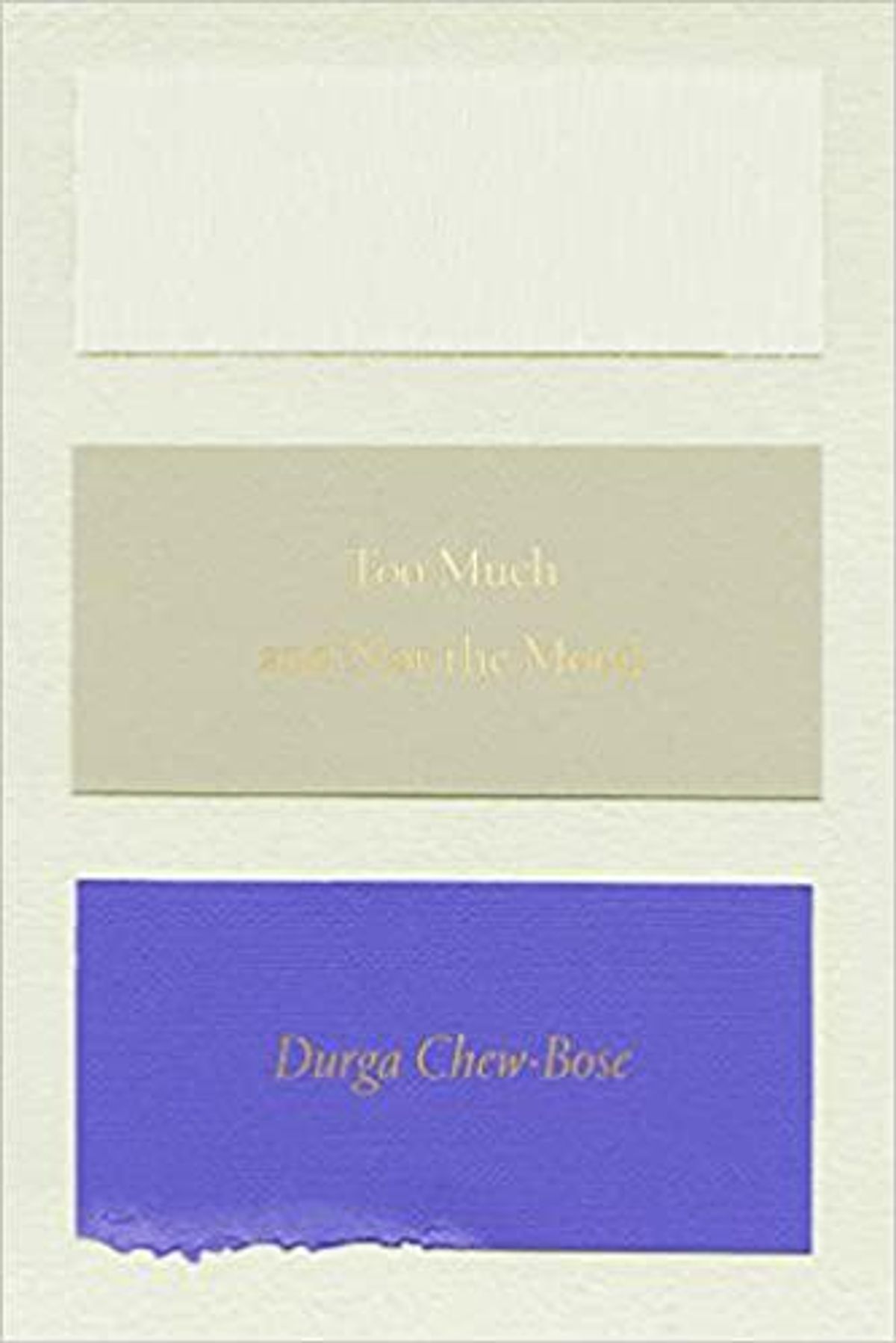 durga chew bose too much and not the mood essays