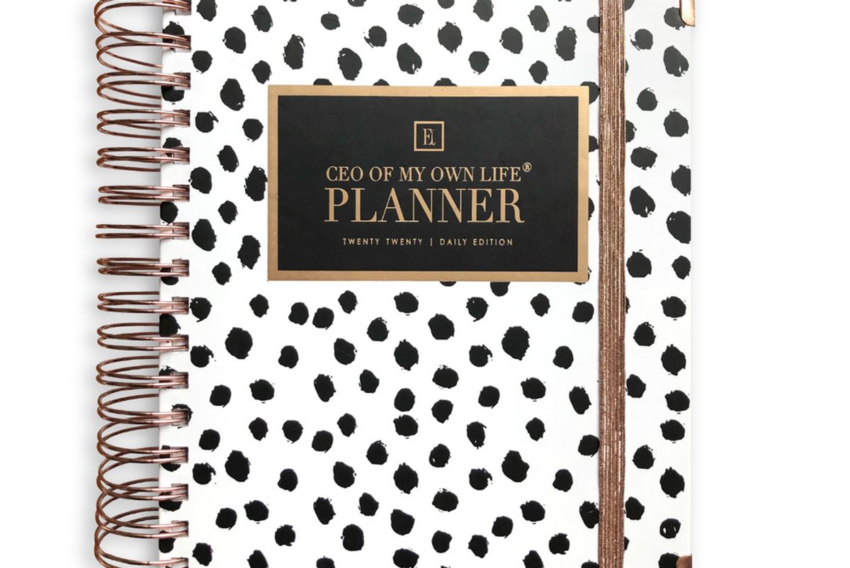 ella iconic 2020 daily ceo of my own life planner dalmatian