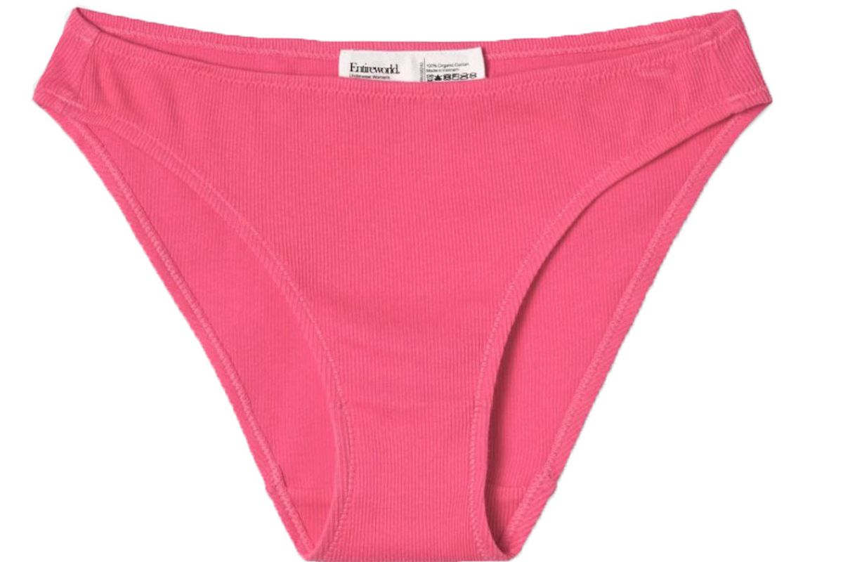 entireworld organic cotton brief