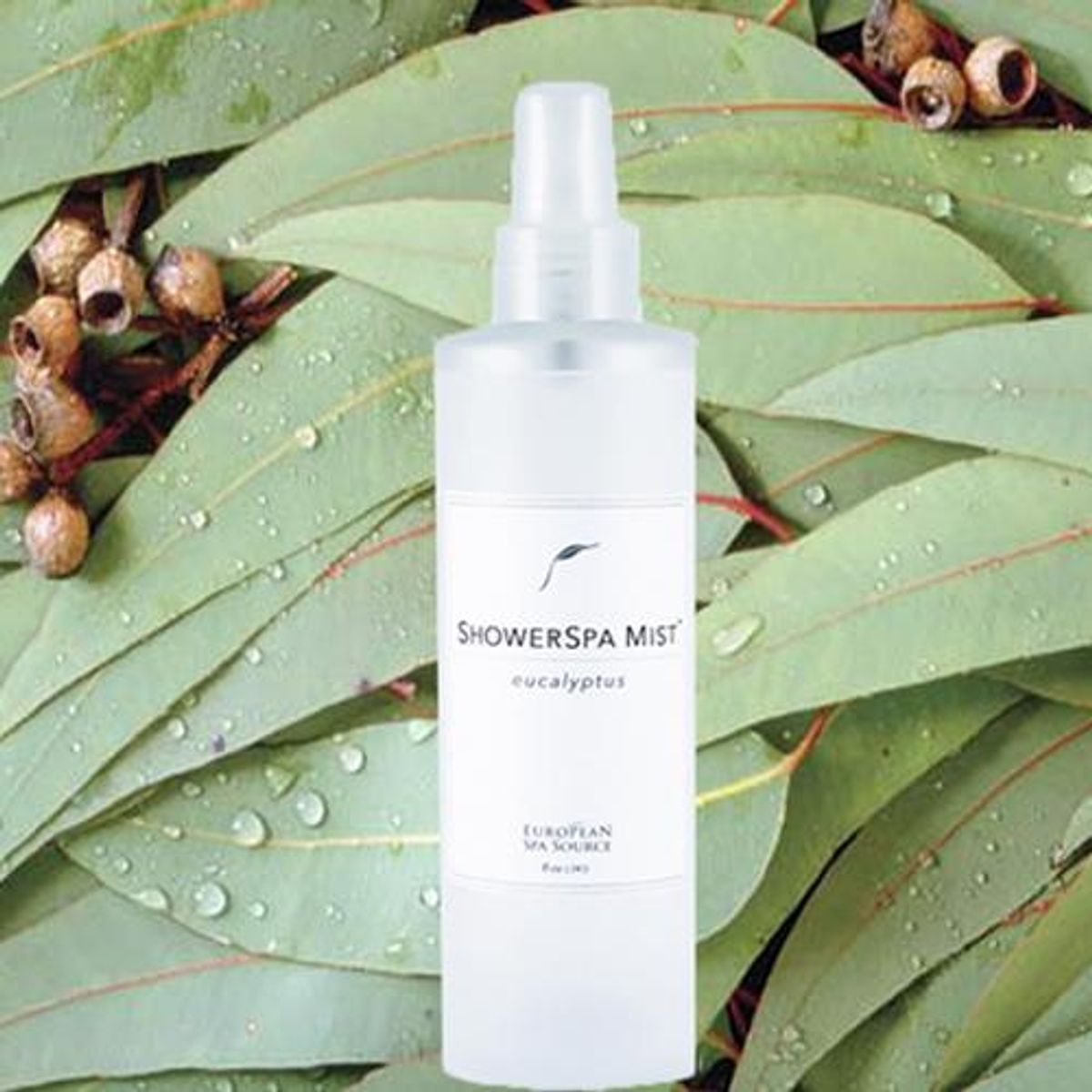 european spa service classic eucalyptus showerspa mist