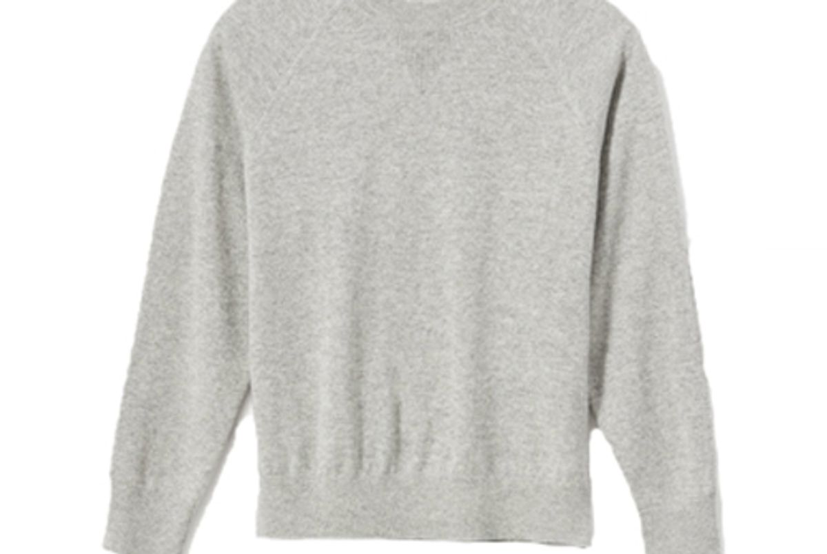 everlane ashmere shrunken sweatshirt