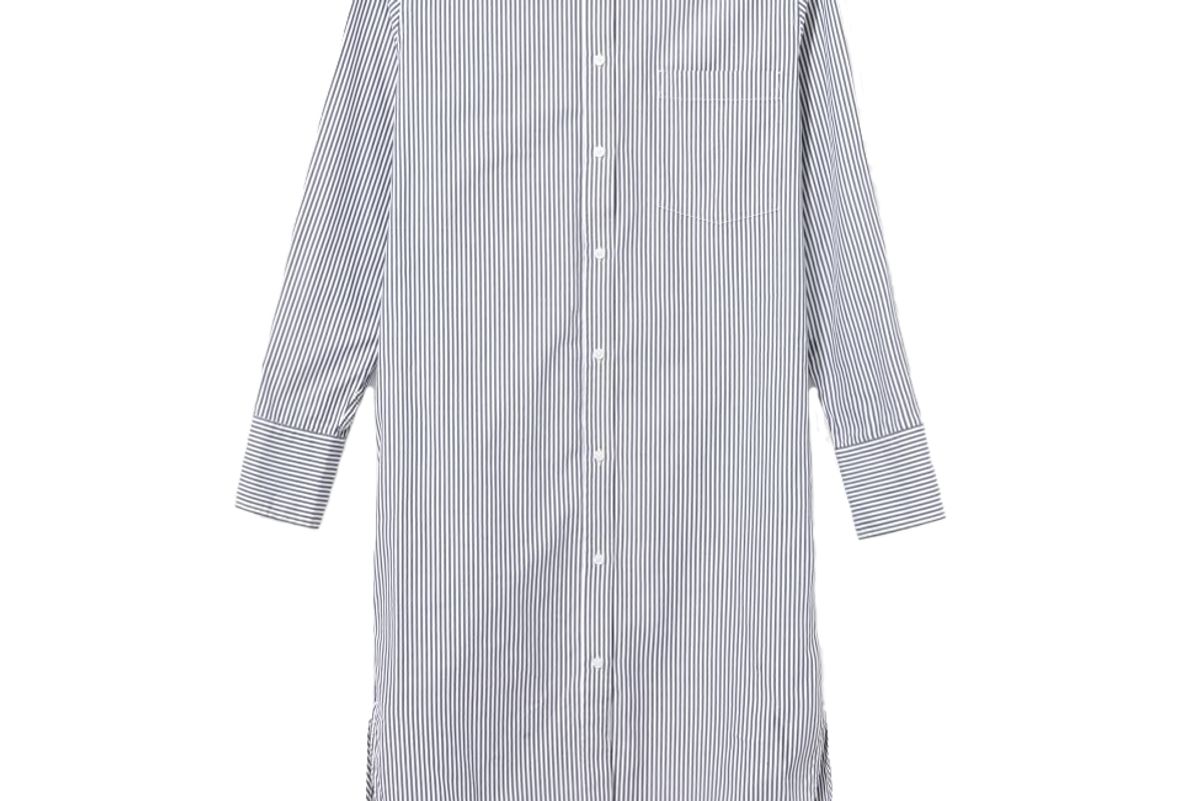 everlane the cotton shirtdress