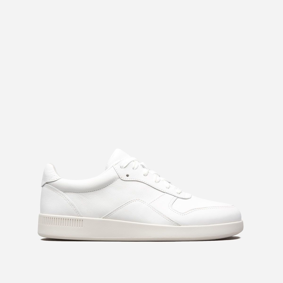 everlane the court sneaker