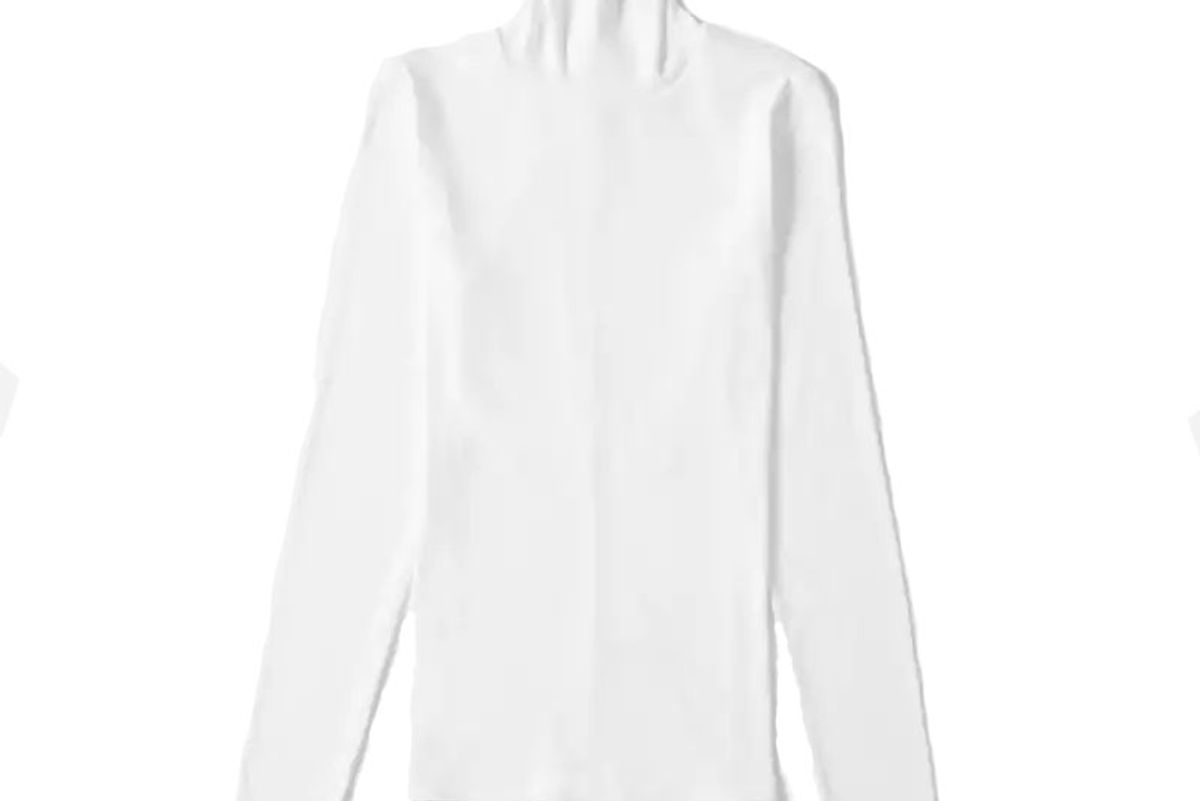 everlane the pima micro rib turtleneck