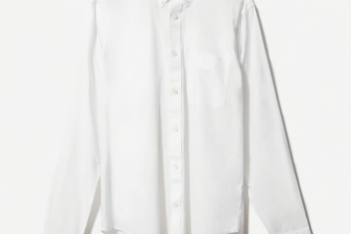 everlane the slim fit performance air oxford long sleeve shirt