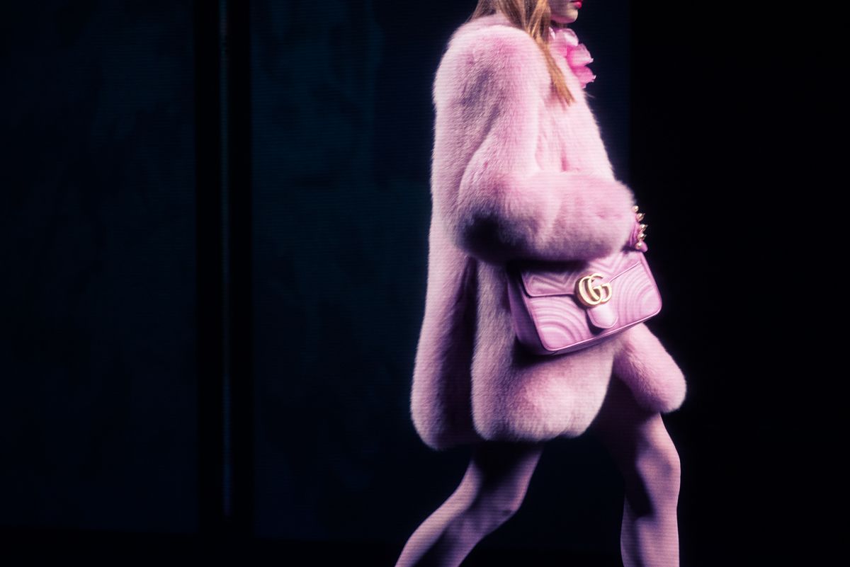 Gucci Fall 2016