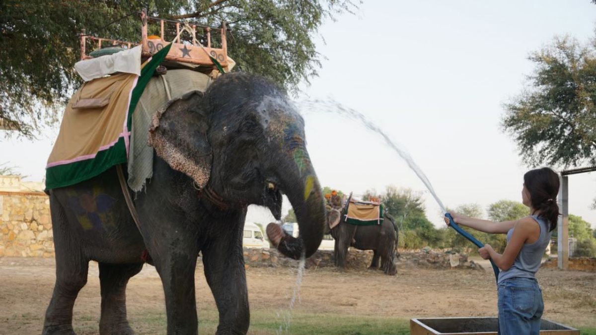How a Jewelry Designer Tours India