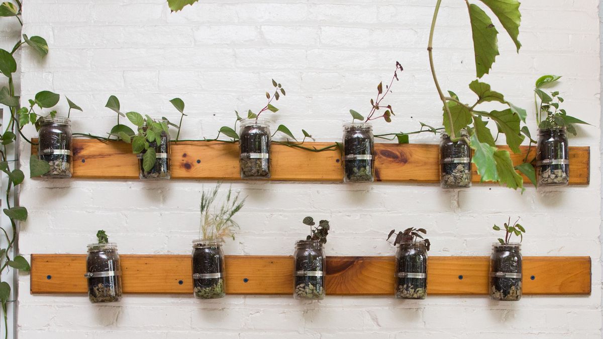 grow herbs indoors