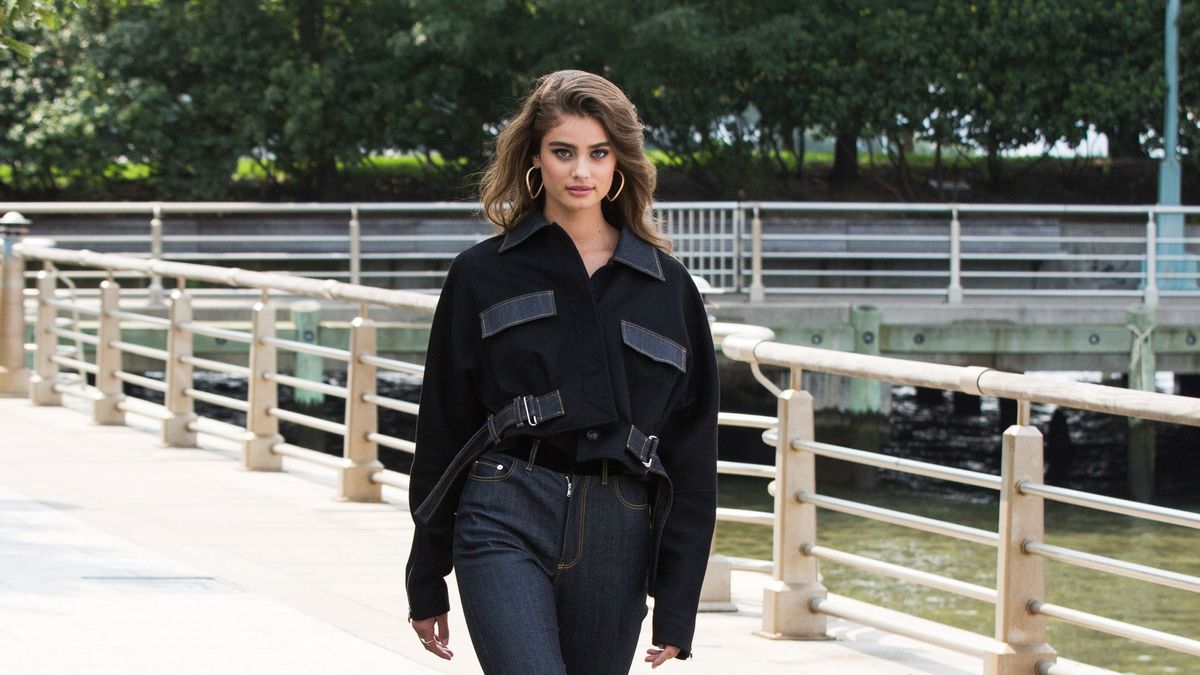 taylor hill
