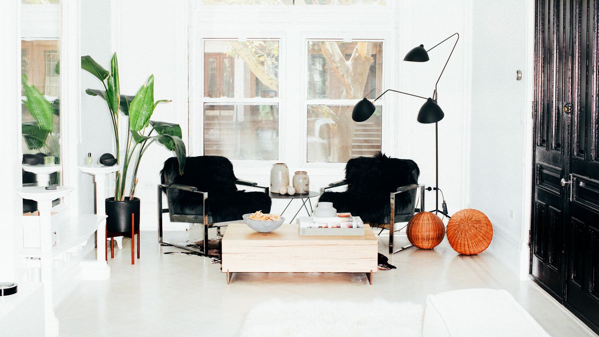 Inside a Modernist Monochromatic Brownstone with a Dog to Match