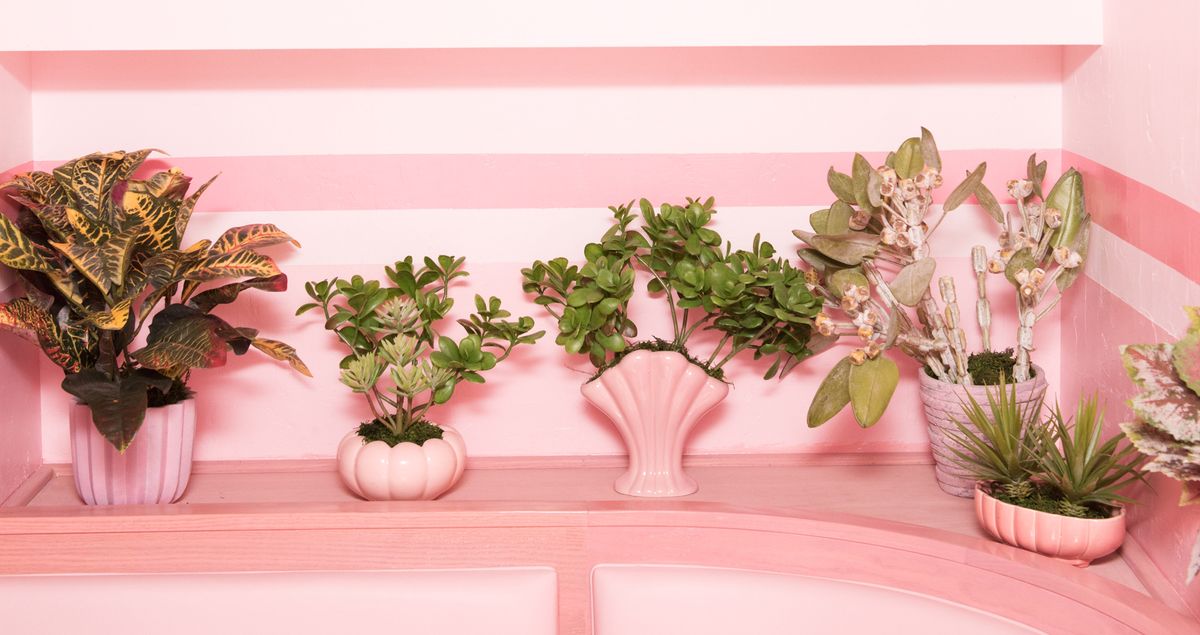 The Most Instagrammable Restaurant in NYC