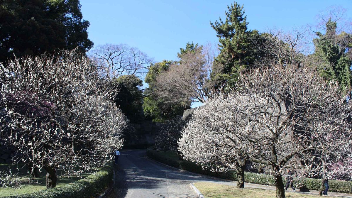 Why Japanese Hospitality Is the Best You’ll Ever Experience