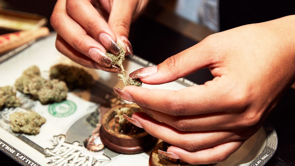women of color in cannabis