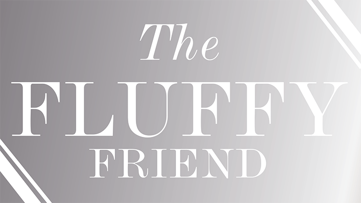 What to Get the Luxury Lover on Your List