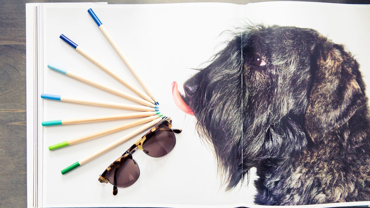regulations on cosmetic testing on animals 2019