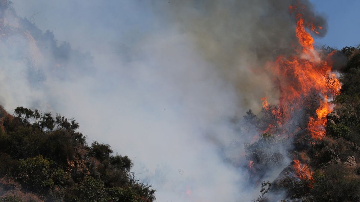california wildfires