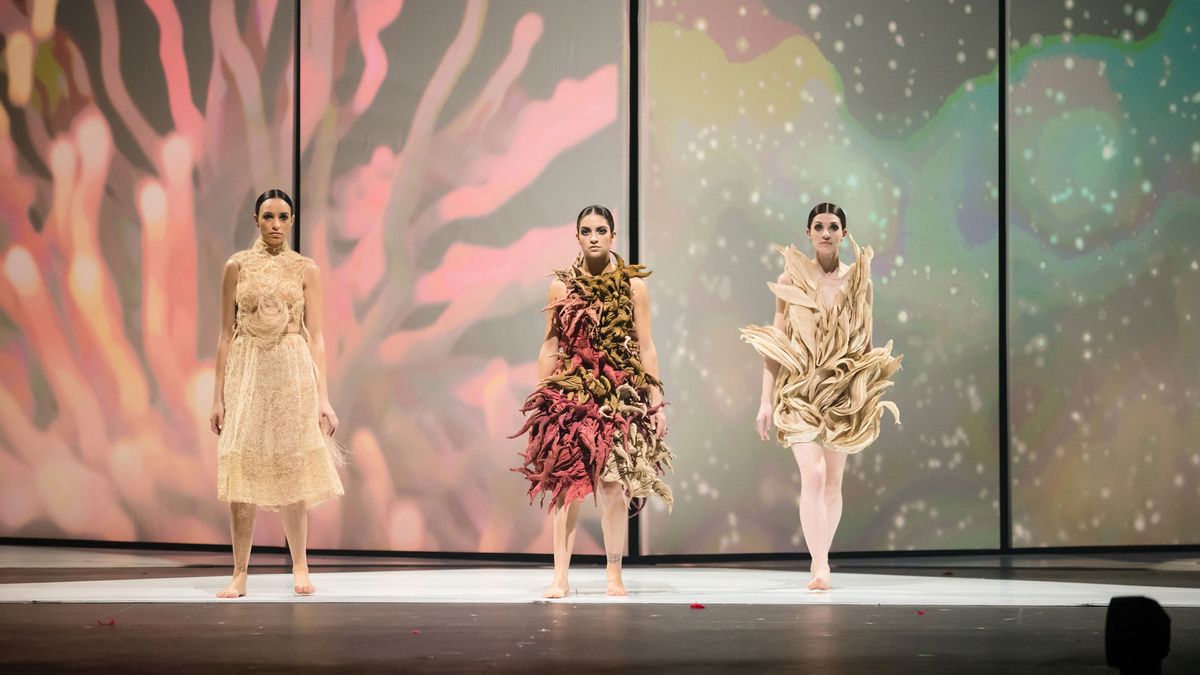 new zealand 2018 world of wearable art show