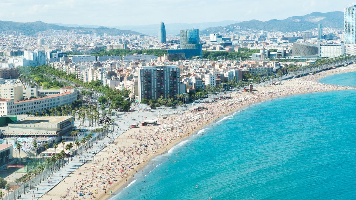 5 Must-Try Tapas Restaurants in Barcelona
