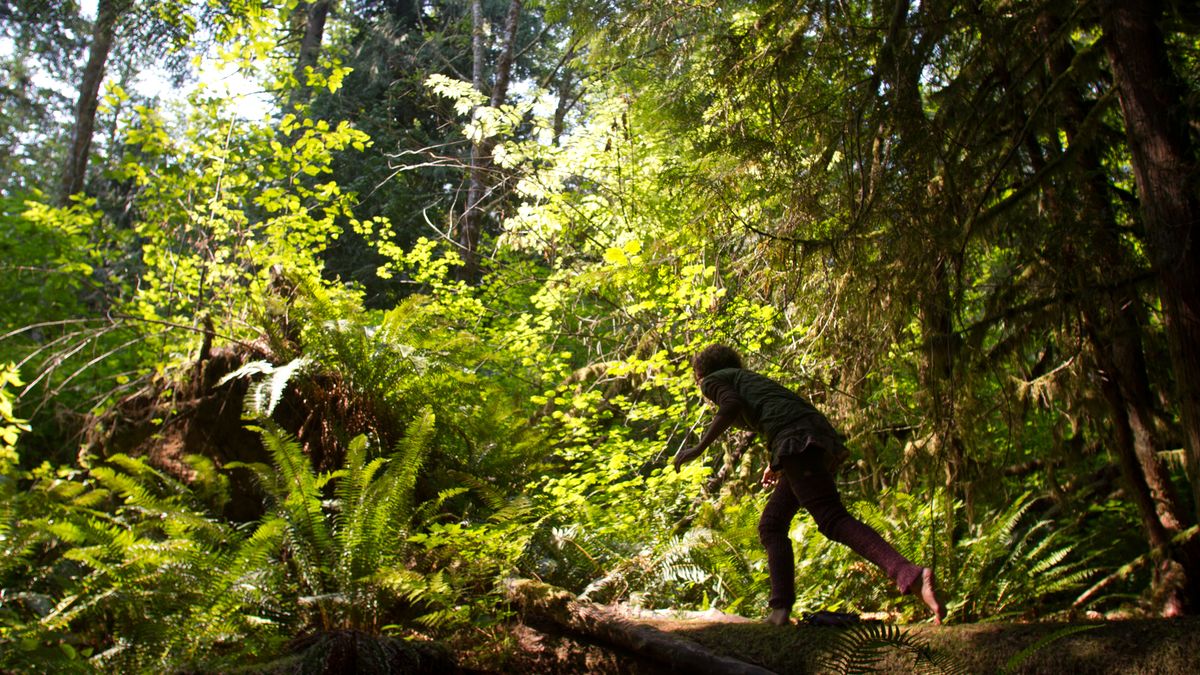 forest bathing