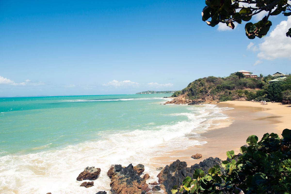 Vieques, Our Way